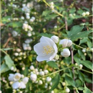 Meet your Posher, Katrina